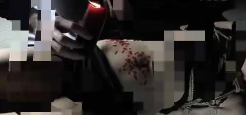 【西檬之家】小圈入门指南：读懂BDSM亚文化中的SP与管教