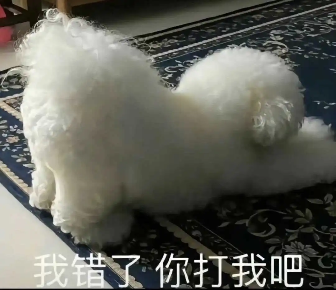 西檬之家-字母圈新人如何入圈？