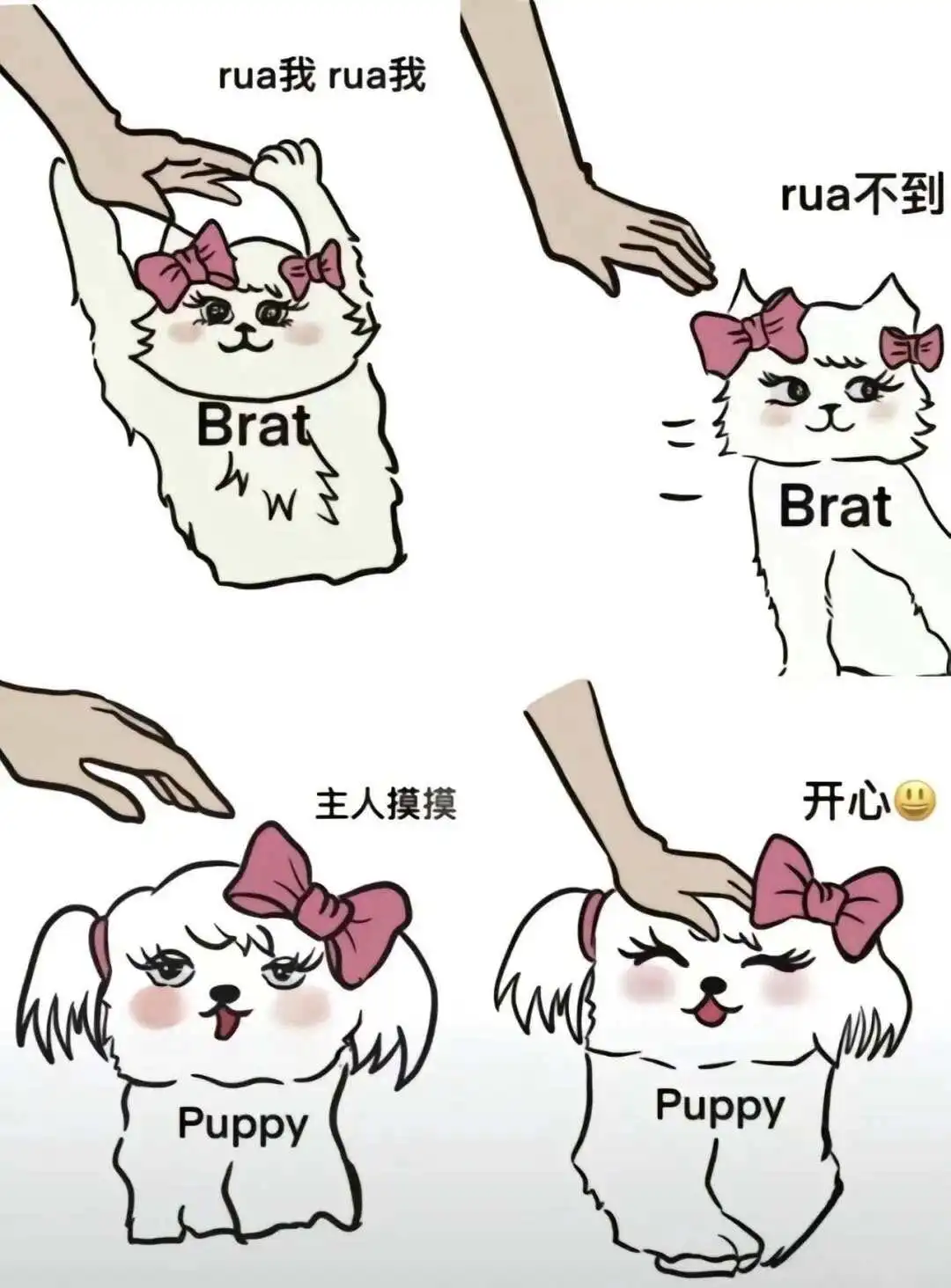 【西檬之家】新人必读：字母圈基础术语全解析