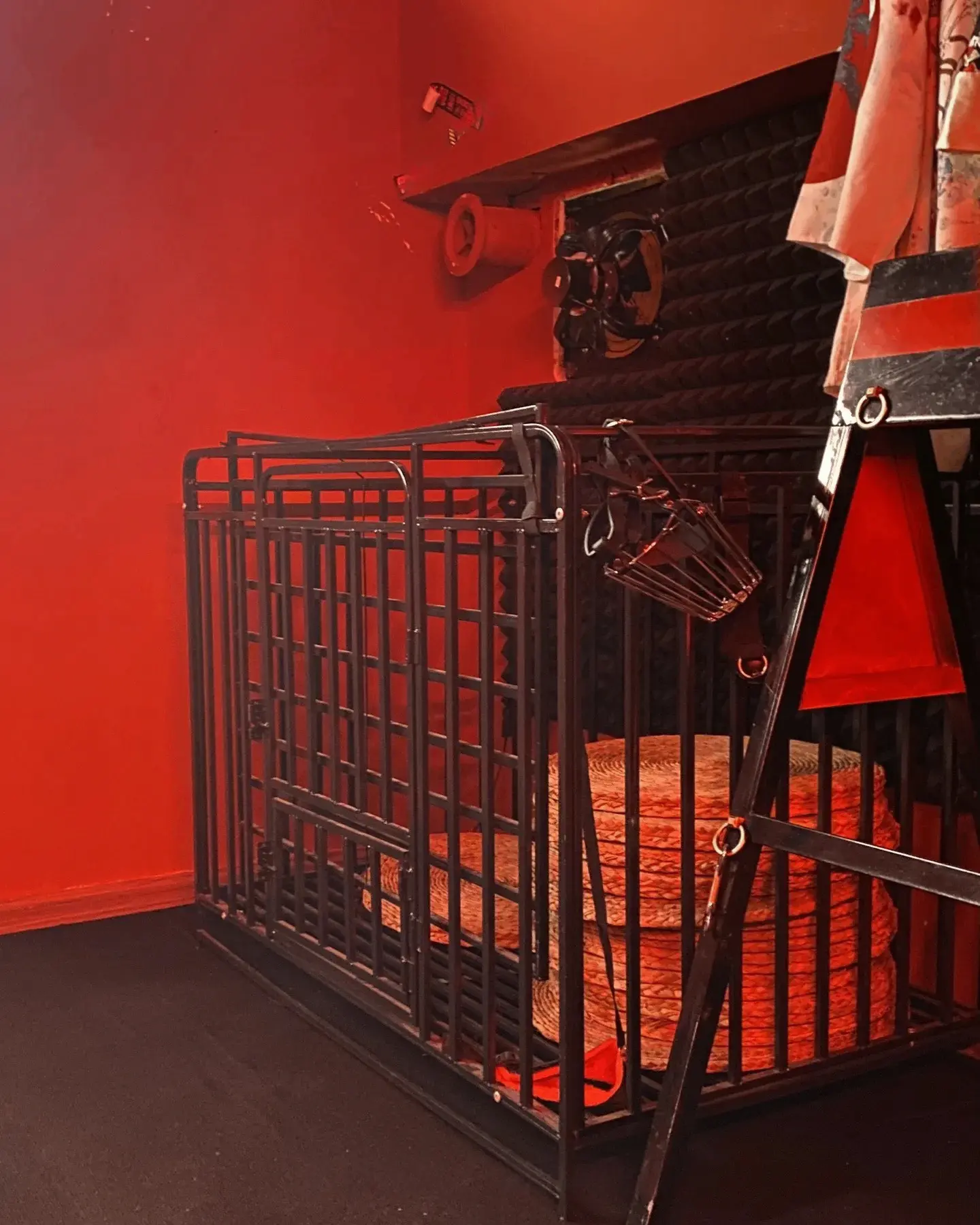 西檬之家-BDSM是什么？Sub是什么？新手入圈指南