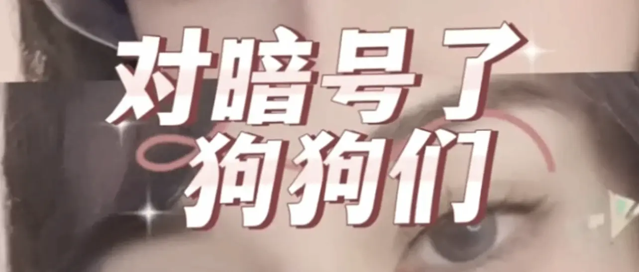 【西檬之家】小圈与大圈的区别？BDSM新人入门权威指南