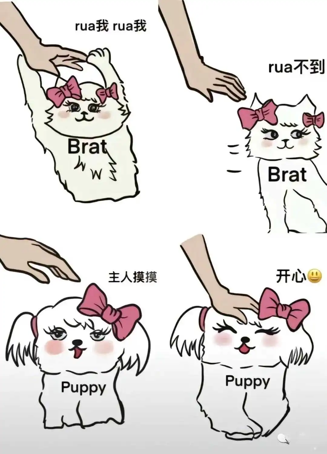 【西檬之家】BDSM女王：字母圈新人的权力关系指南