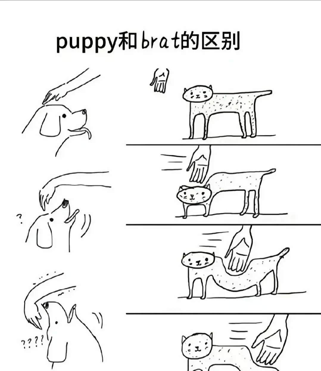 【西檬之家】K9犬系是什么？字母圈新人权威解读