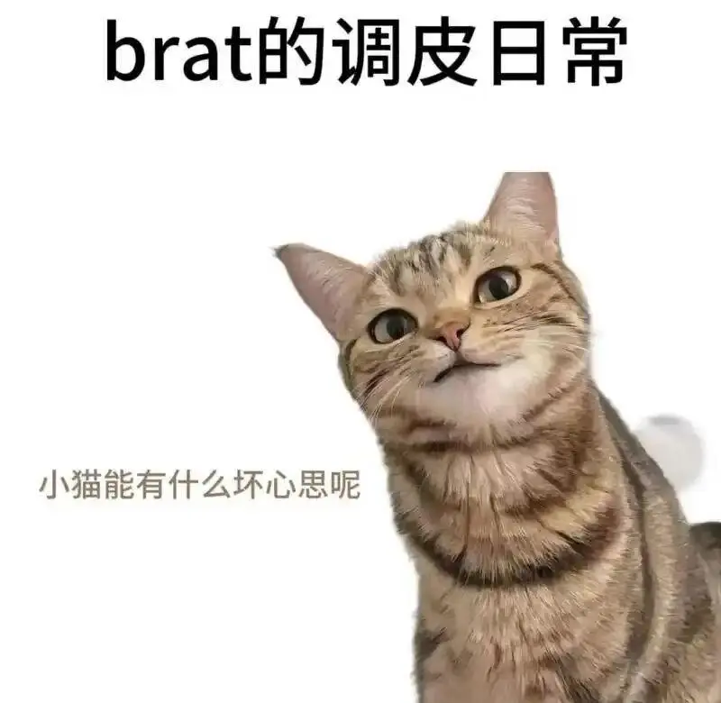 西檬之家-BDSM核心术语解析