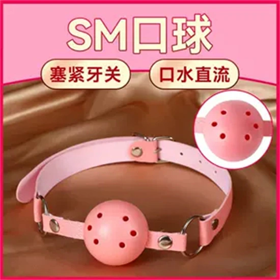 【西檬之家】K9是什么？深度解析字母圈犬系角色扮演
