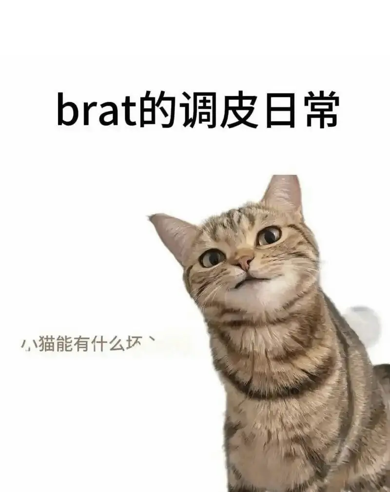 西檬之家-斯慕圈新人指南：BDSM基础知识与安全原则